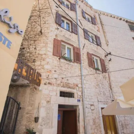 Paulla * 希贝尼克